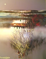 /album/galleria-dipinti-/a64-campagna-brianzola-jpg1/